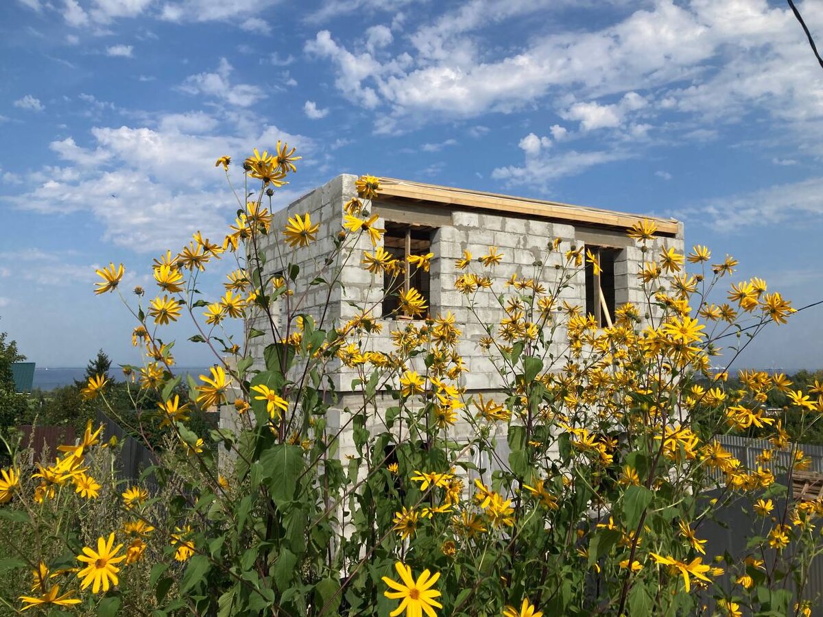 Ох какая красота😍