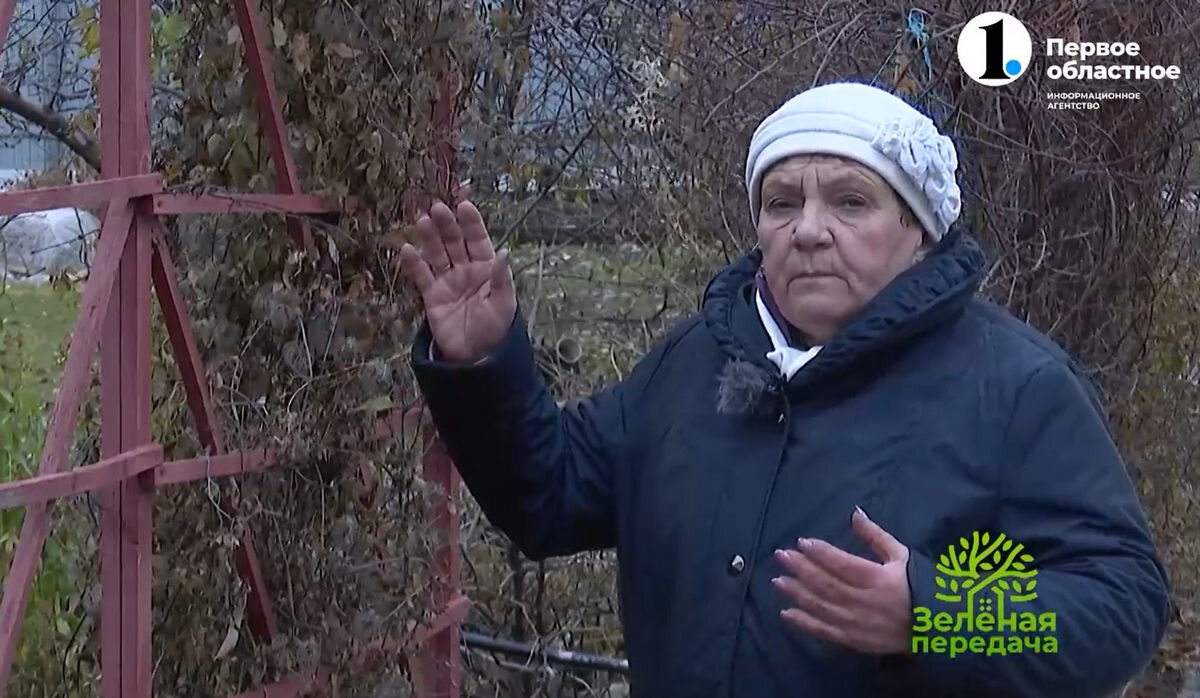 Светлана Мартынова: «Не все до сих пор умеют правильно обращаться с ежевикой» 