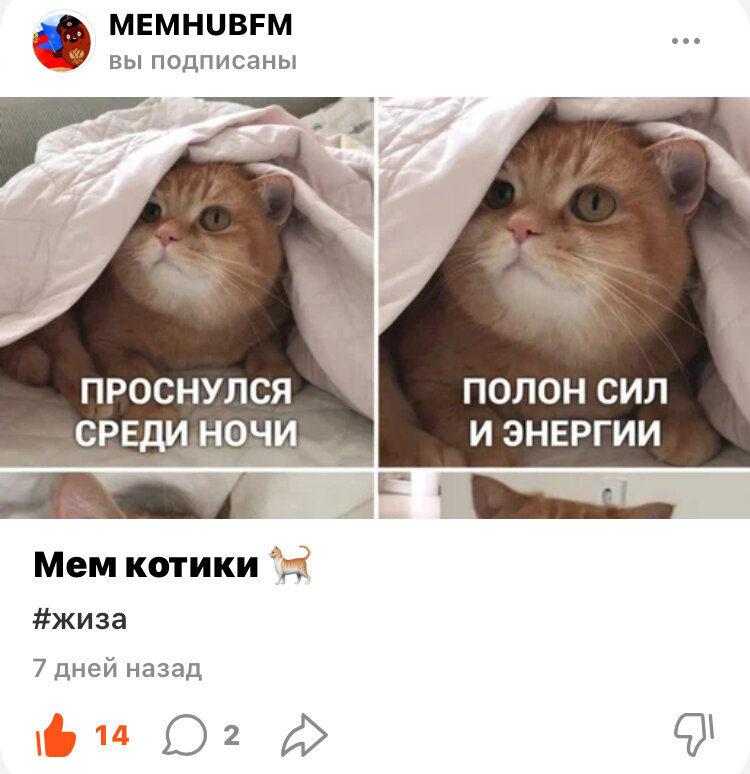 👍👍👍👍👍👍