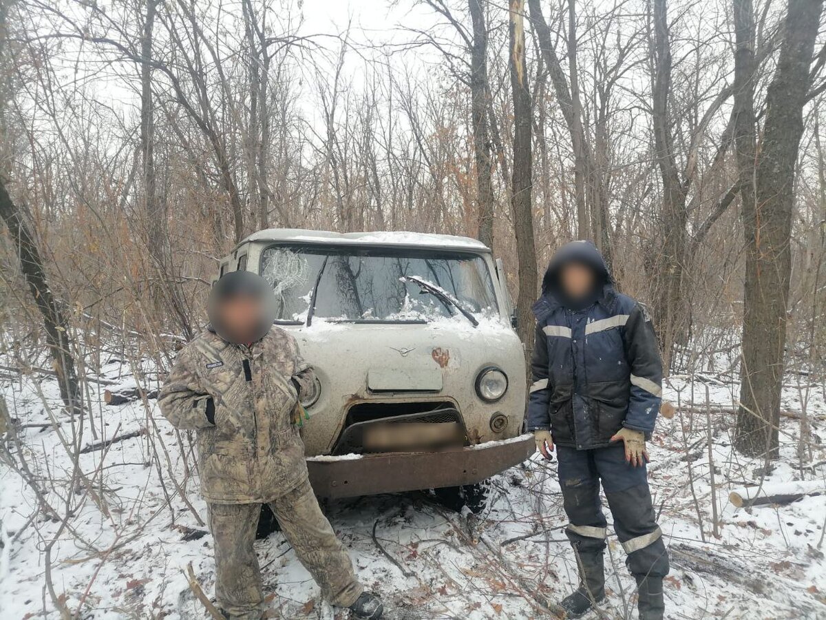 Молодой житель Оренбуржья может лишиться свободы на 4 года за срубленный  дуб | Новости Orenday.ru | Дзен