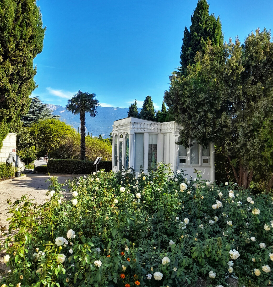 Сегодня - Ливадийский дворцово-парковый комплекс 