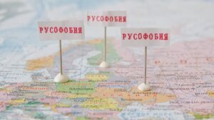    Фото: azned.ne Ирина Амелина