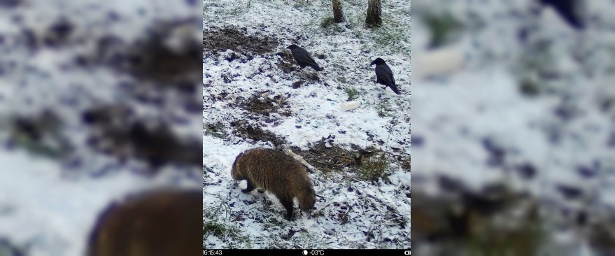 Фото: Сергей Прокопьев