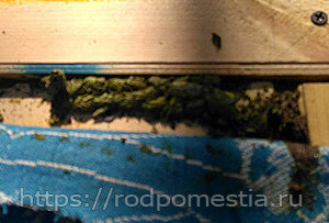 Гнезда-коконы листореза под холстиком улья