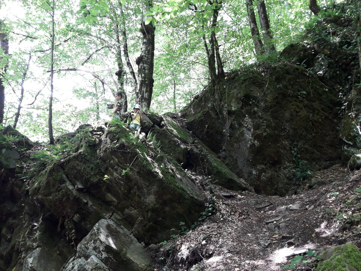 Начало пути