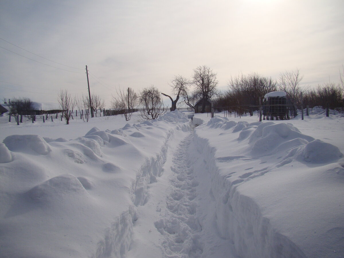 Вот там, за старой баней и стоят летом пчёлы. Часть тропинки, прокопанной две недели назад замело.