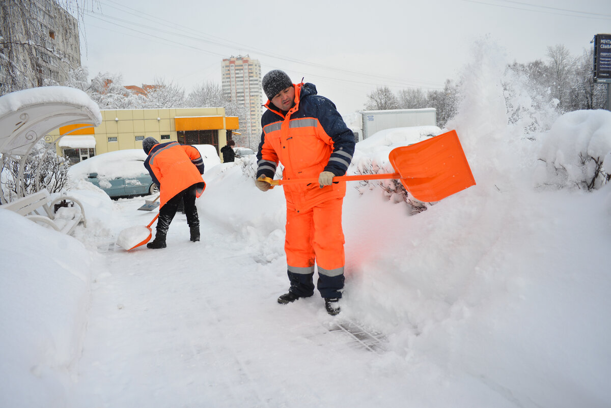 Фото с сайта https://svao.mos.ru