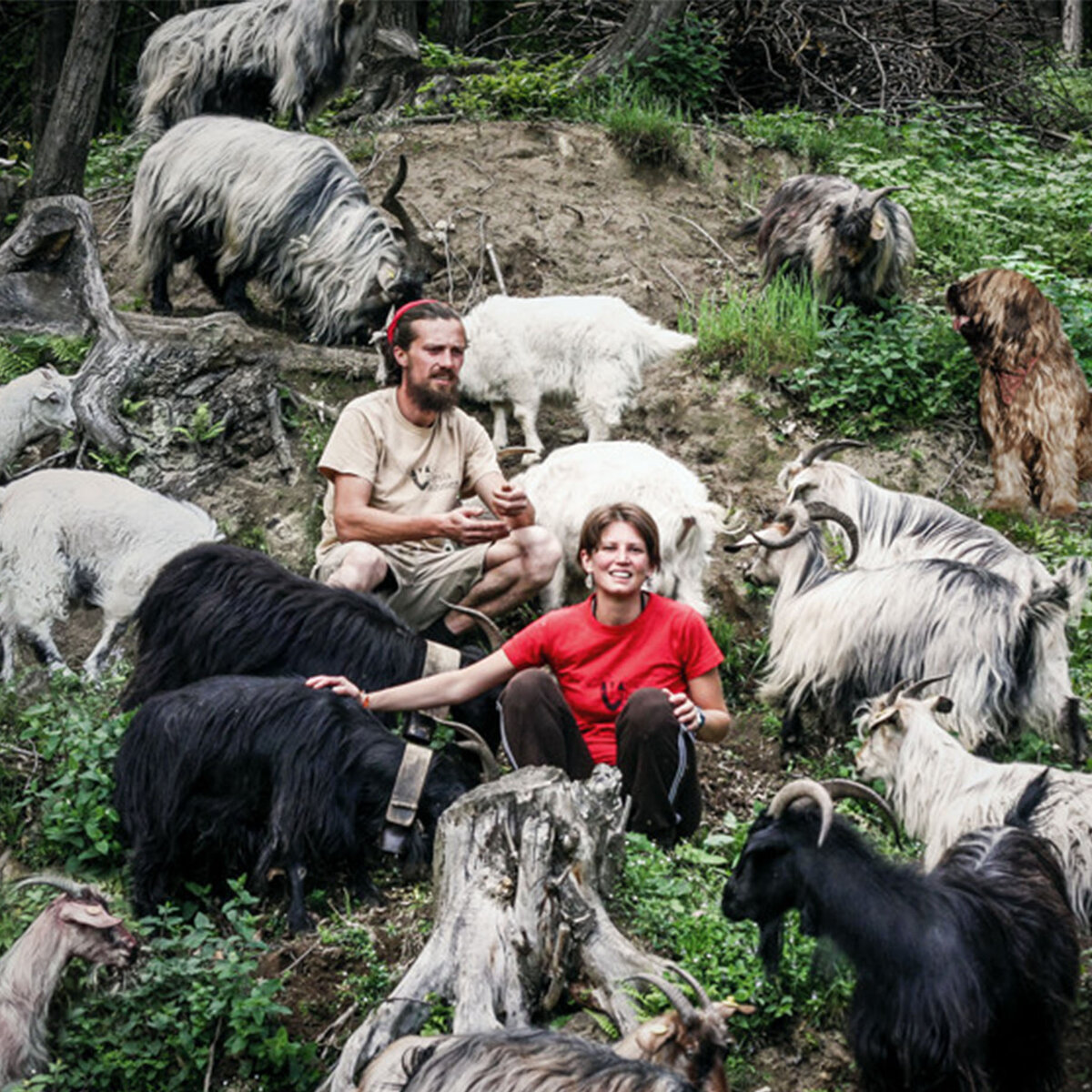 Основатели фермы с кашемировыми козами. Фото с сайта valsesiacashmere.it