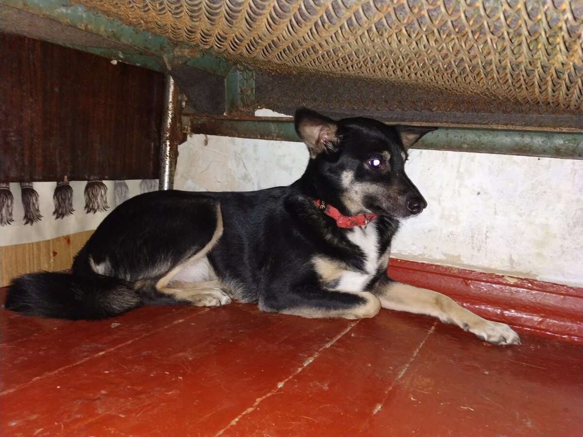 Джеса))) 3 года