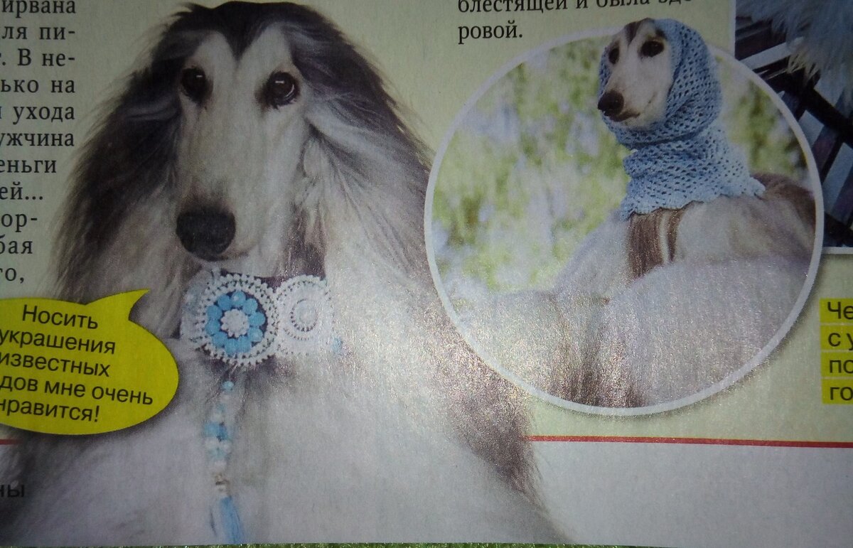 Случайно на глаза попался дешёвый женский журнал.