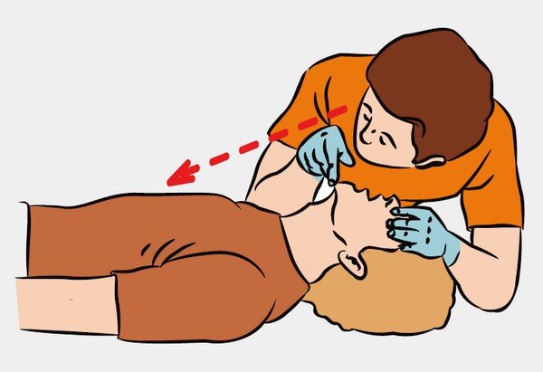 Изображение с сервиса Яндекс.Картинки