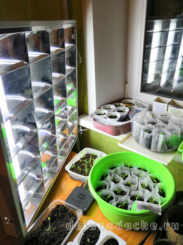 фото из личного архива