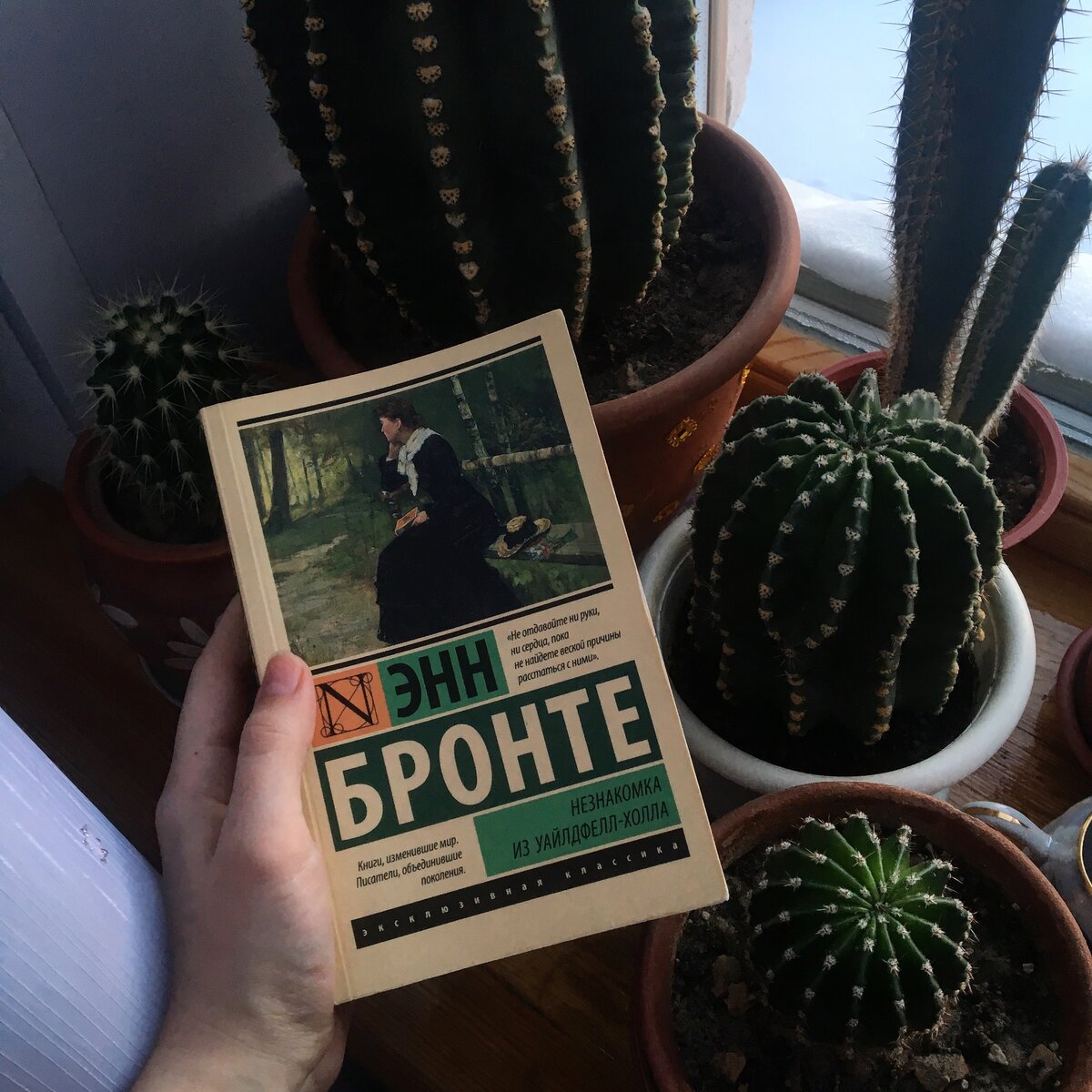 Энн Бронте – «Незнакомка из Уайлдфелл-Холла»