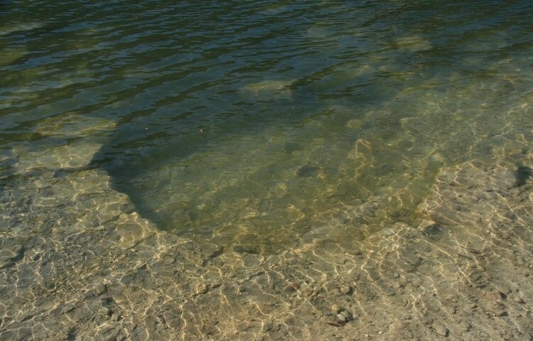 Кладка абсидной части харма