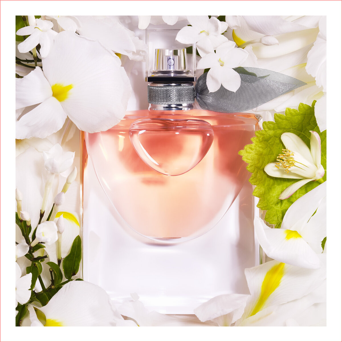 Цена 5100 рублей за 50 мл EdP