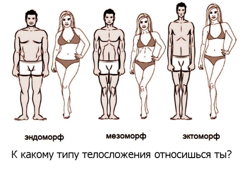 Как понять мезоморф ты или эндоморф