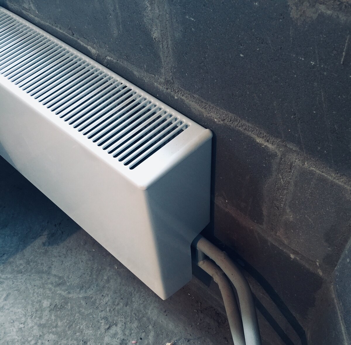 Фото автора статьи