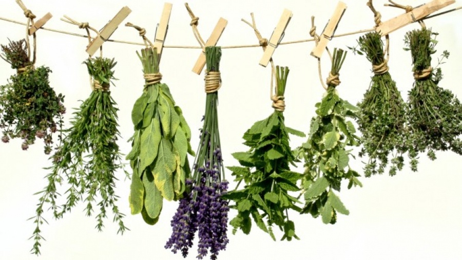 Источник: http://vedmochka.net/