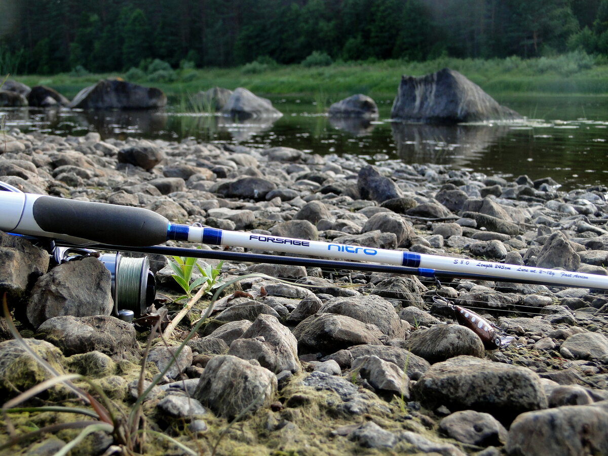 Рабочий комплект: спиннинг Forsage Nitro 243 2-12, катушка Daiwa Ninja 2000, шнур Forsage Tournament 4 0.6