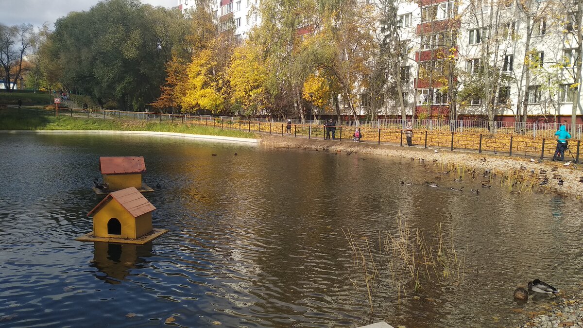 Форум прудам. Борисовка пруд пласт. Бетонные берега у пруда Москва. Бетонные берега пруды Москва утки. Пруд в бетонных берегах Электросталь.