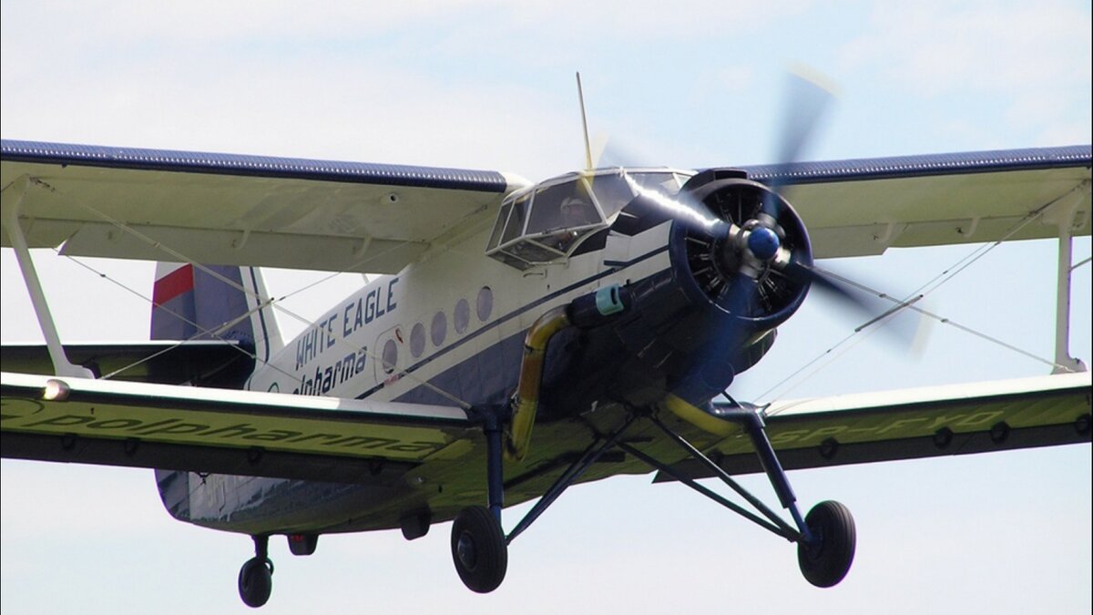 Фото: avia-mir.com 