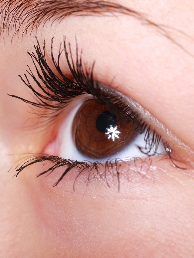 Source: https://pixabay.com/ru/photos/%D0%BA%D1%80%D0%B0%D1%81%D0%B8%D0%B2%D0%B0%D1%8F-%D0%BA%D1%80%D1%83%D0%BF%D0%BD%D1%8B%D0%BC-%D0%BF%D0%BB%D0%B0%D0%BD%D0%BE%D0%BC-%D0%B3%D0%BB%D0%B0%D0%B7%D0%B0-%D0%B1%D1%80%D0%BE%D0%B2%D0%B8-2315/