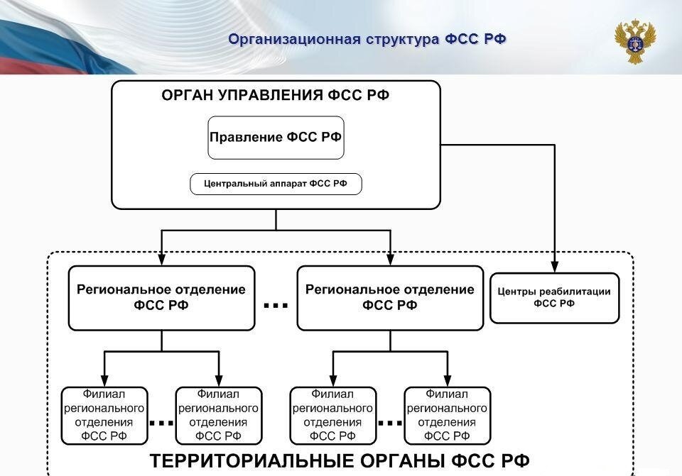 Структура социального фонда рф в 2023 схема