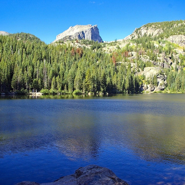 https://cdn.pixabay.com/photo/2018/12/25/03/51/bear-lake-scene-3893788_960_720.jpg