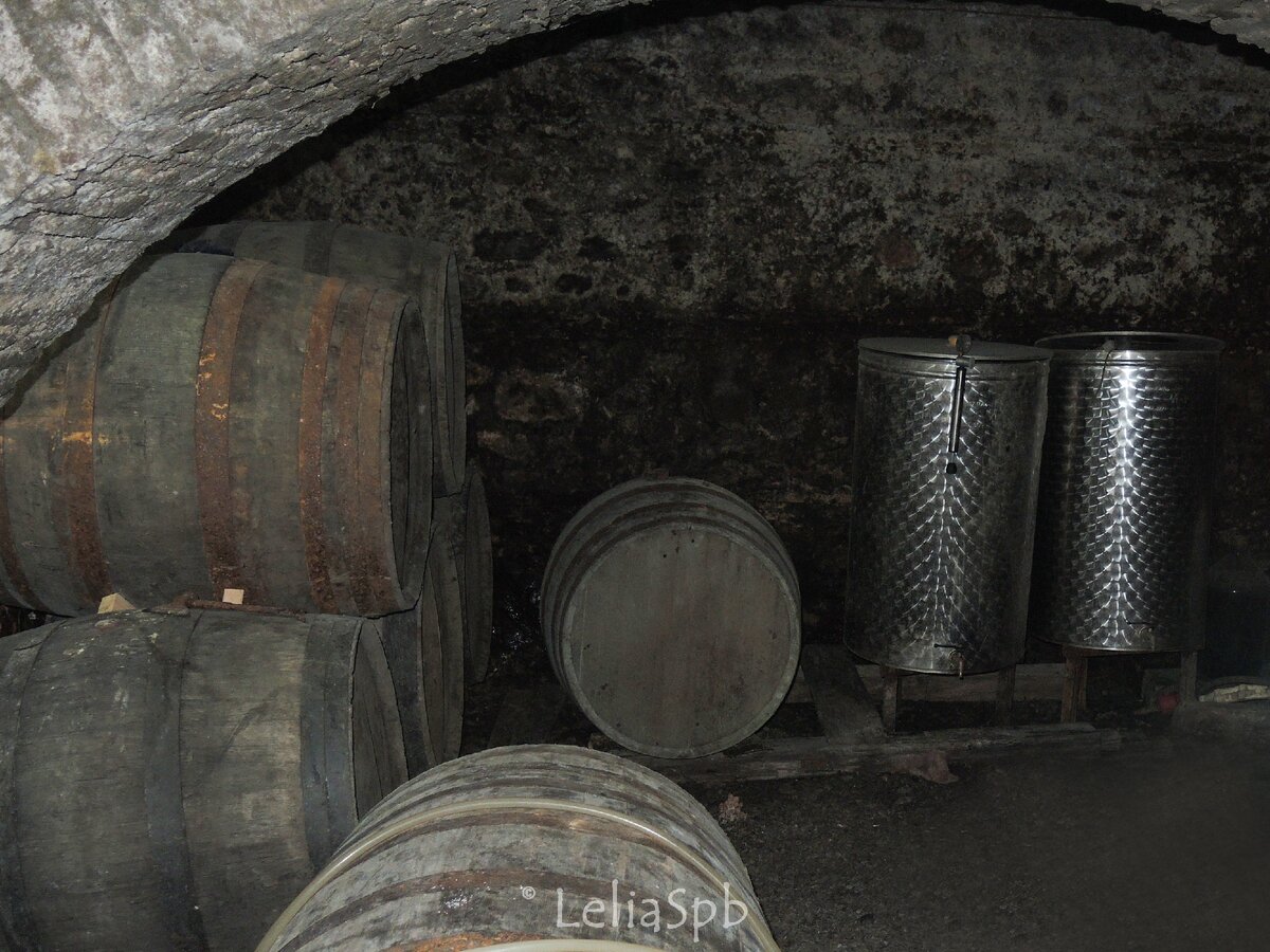 Фото из личного архива.Винный музей Нумиси.