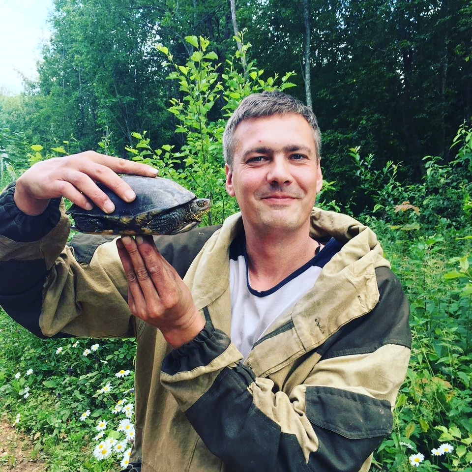 Фото: Сергей Рогачев, Лужский р-он ЛО (15 августа 2019) 