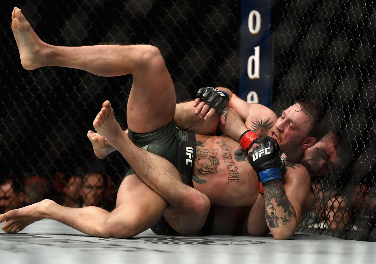 UFC 229 - Хабиб vs Конор (фото взято из свободного источника интернет)