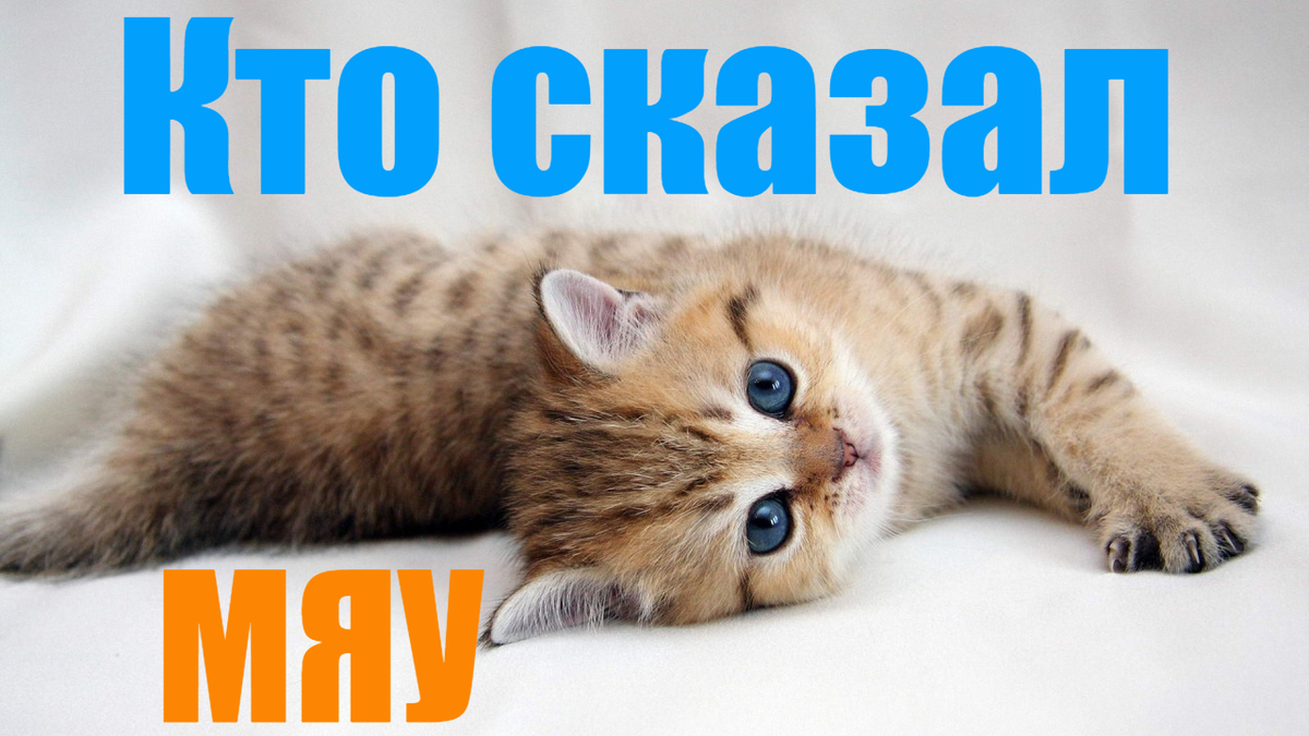 Читаем кто сказал мяу от Владимира Сутеева