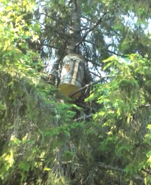 Ловушка в работе