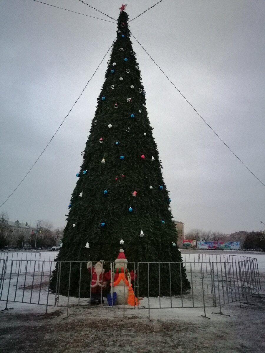 Ёлка в центре площади. (Днём-Ночью) 
