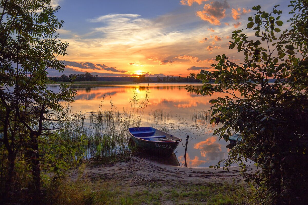 яндекс картинки