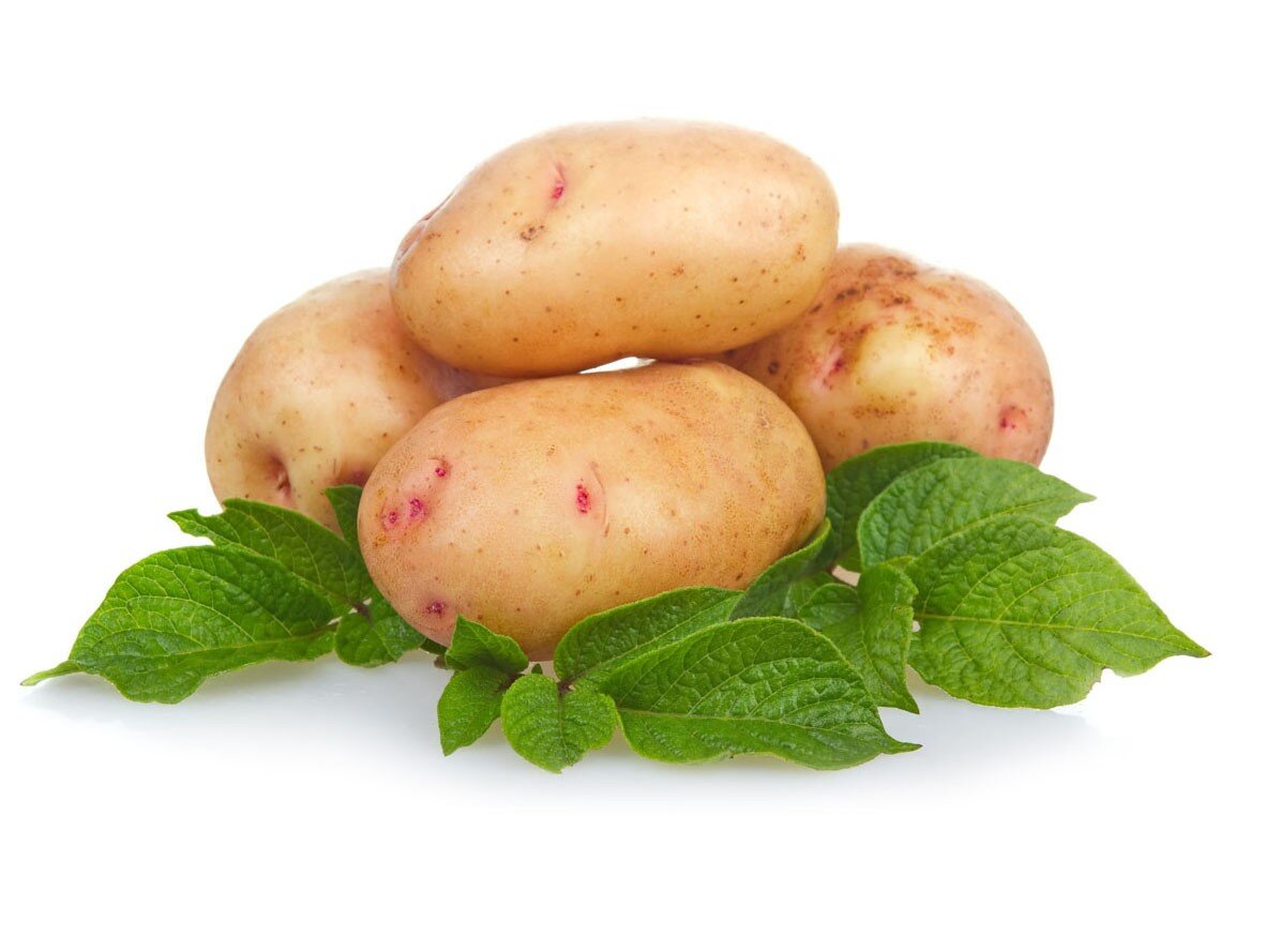 Potato