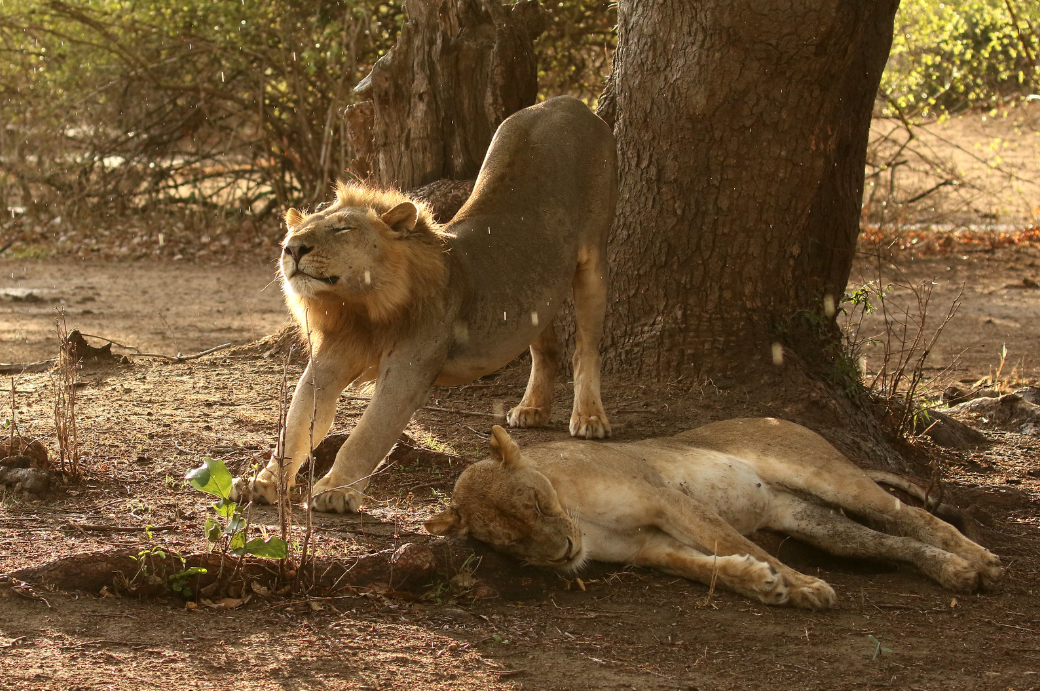 И это тяжелый труд