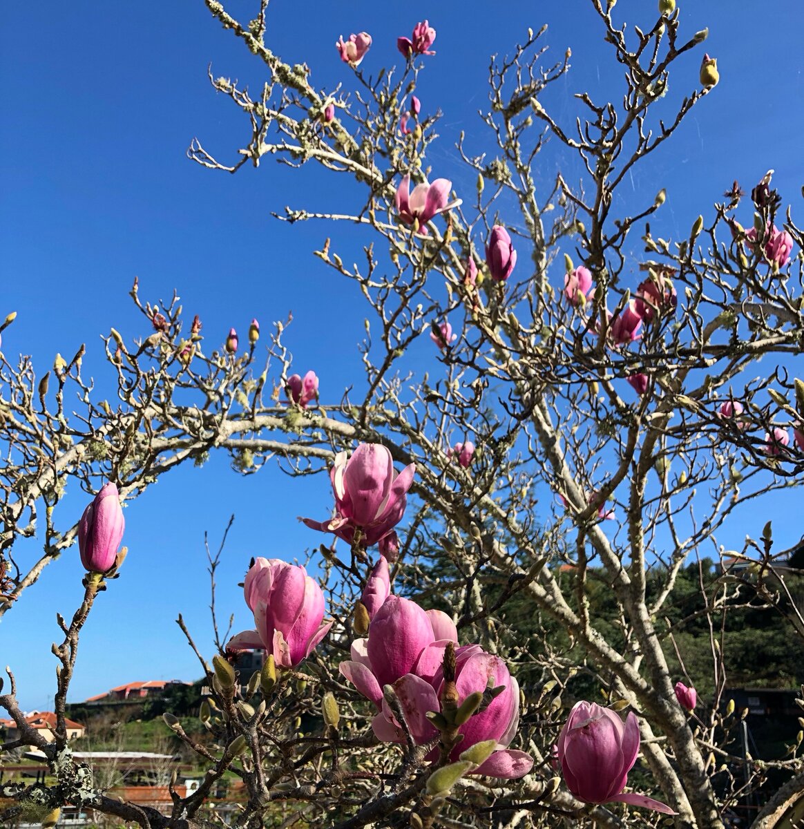 Иммиграция - это тяжело. Главное, не забывать, для чего вы проходите этот путь