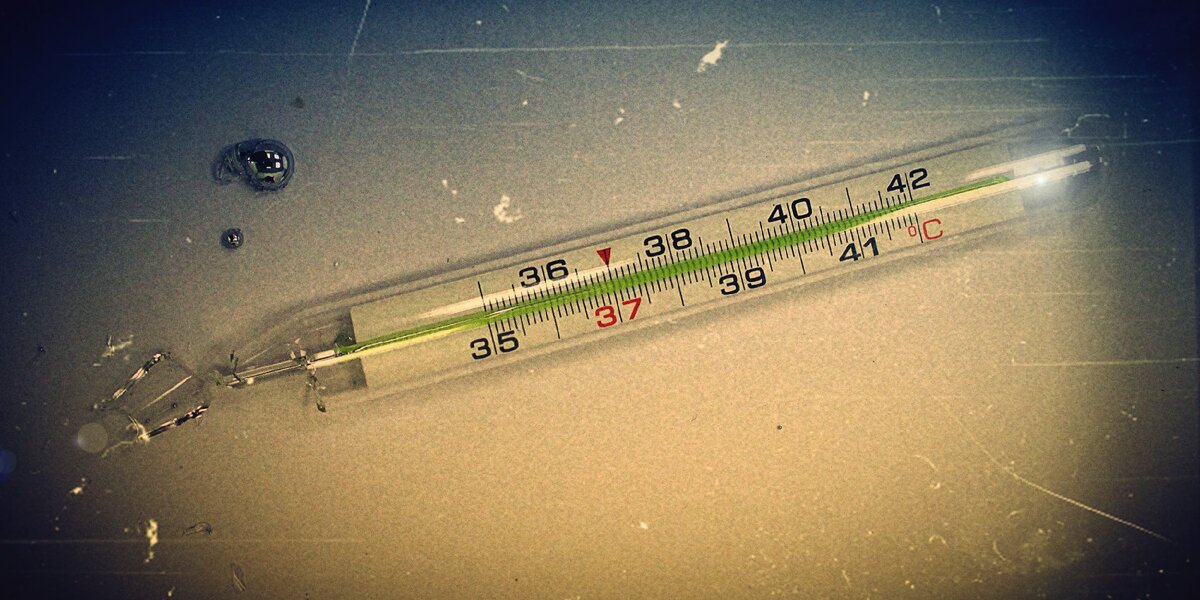 Фото не моё. 