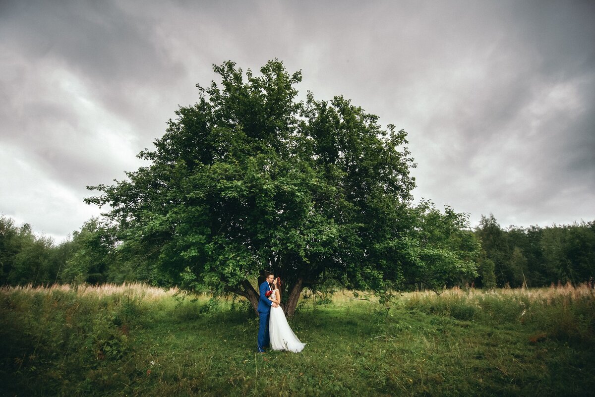 Худ. обработанная фотография 