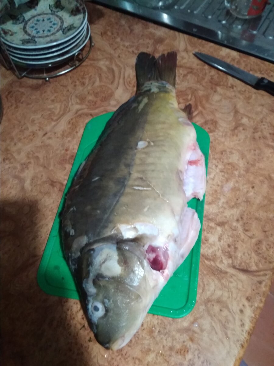 Подготовленный карп