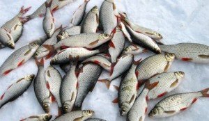 Волшебная статья 