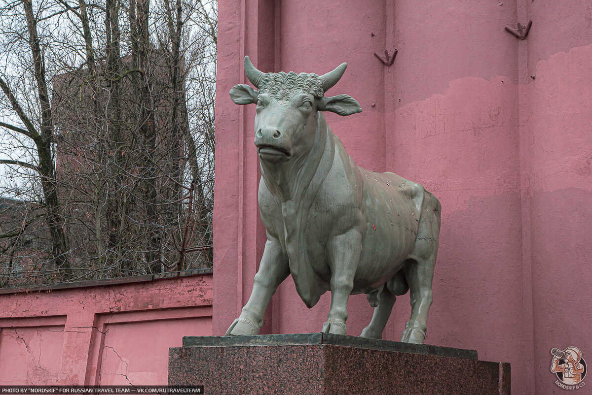 «Страшное место». Заброшенный завод Самсон в Петербурге — цеха 