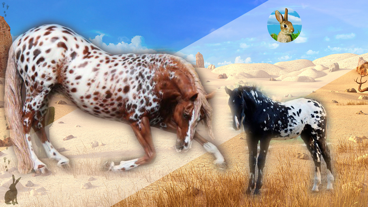 Фотошоп только фон. Окрас лошадей без изменения.