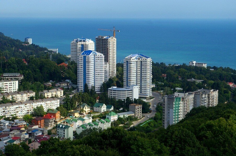 Фото из Яндекс картинки