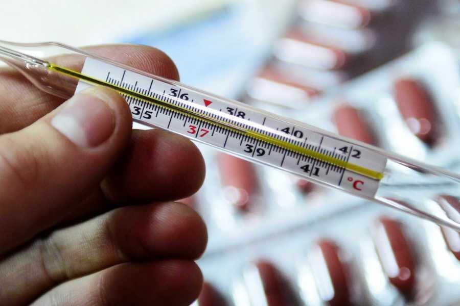 Фото – shansonline.ru