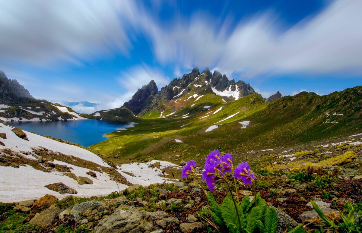 Альпийские Луга Грузия