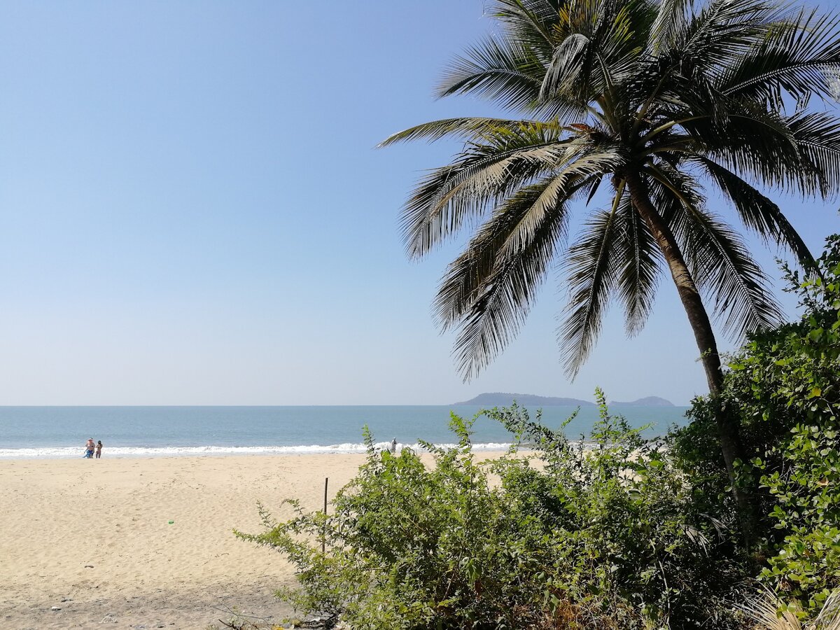 Индия, Гоа. Фото автора.