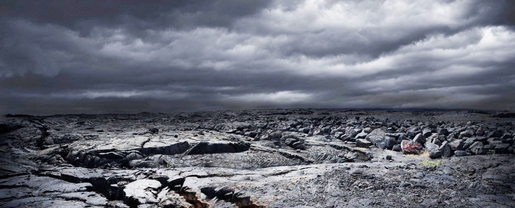 (Chris Clor/Getty Images)