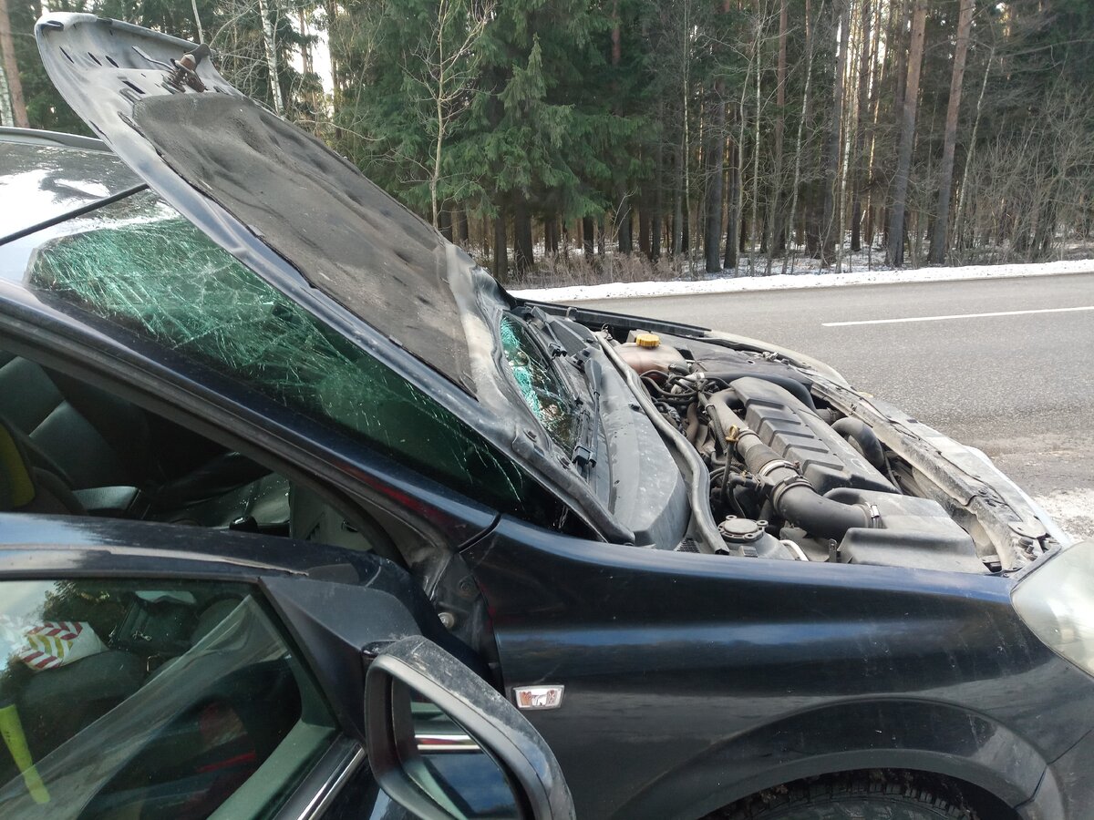 Вот такие ужасы случаются на дороге